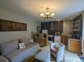 Charmant loft dans la vieille ville, parking gratuit proche, proche château Naillac - FR-1-591-65